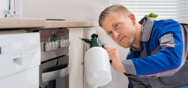 pest control insects in New Providence