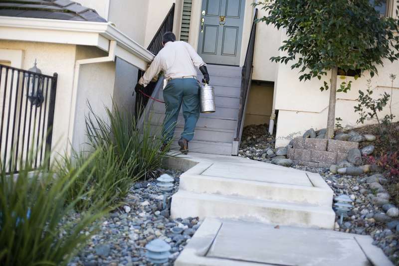 24 Hour Emergency Pest Control Services in Mission Canyon California