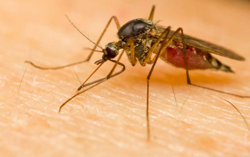 24 pest control in St. Augustine Village