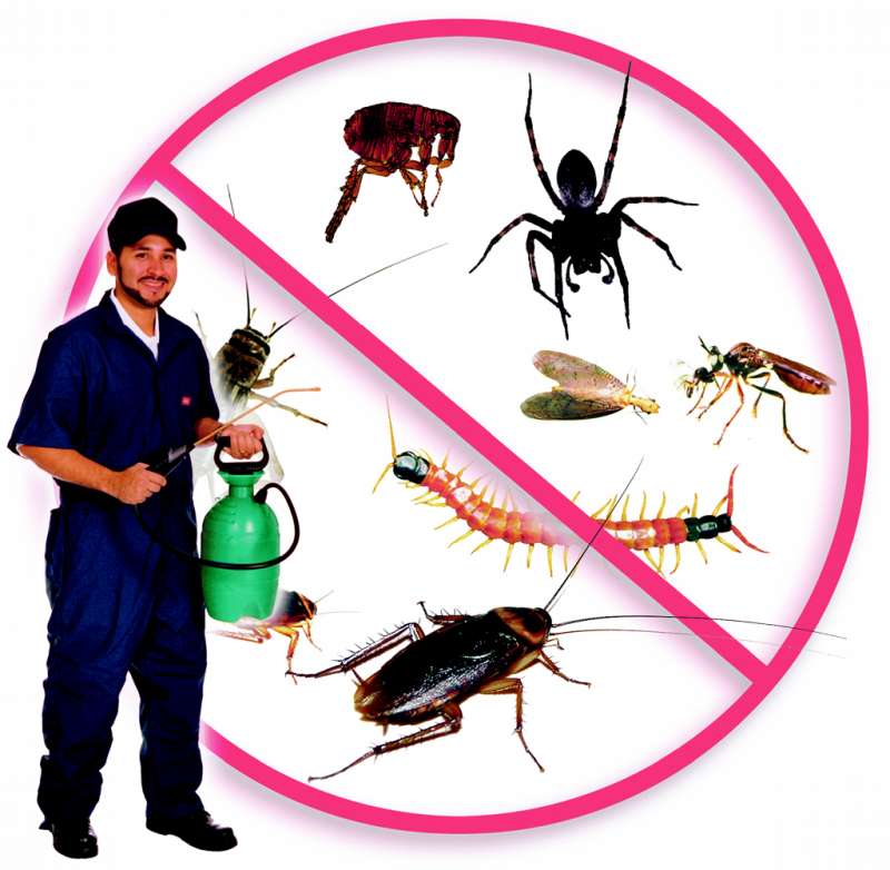 professional pest control company in Windsor Locks