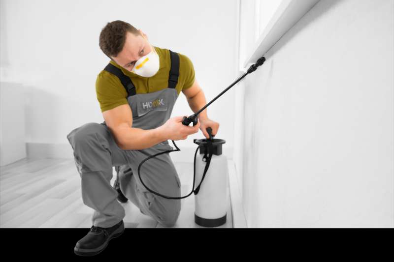 pest control specialists in Bay Shore